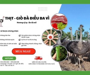 Chuyên ĐẶC SẢN GIÒ ĐÀ ĐIỂU - THỊT ĐÀ ĐIỂU TƯƠI SẠCH BA VÌ