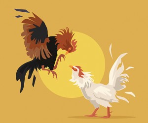 Lịch đá gà bướm ngày may mắn tại đấu trường DAGA88