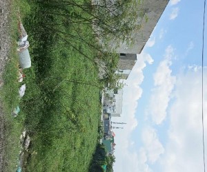 Cơ Hội Sở Hữu  1500m2 Đất - Phan Văn Hớn - Xuân Thới Thượng  Hóc Môn Chỉ 25 Tỷ