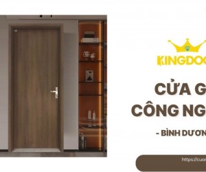 Cửa Gỗ Công Nghiệp Tại Bình Dương | Giá Tốt Tận Xưởng