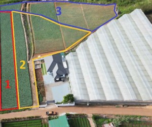 BÁN 6000M2 ĐẤT XÃ HIỆP AN - ĐỨC TRỌNG LÂM ĐỒNG - Giá bán : 13 tỷ