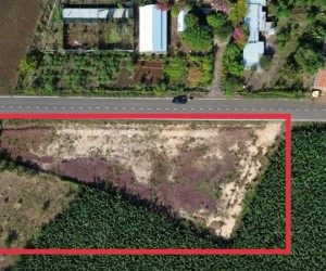 Giá sốc, Đất mặt tiền chỉ với 299 triệu ngay Long Tân, Bà Rịa - Vũng Tàu