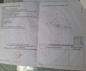 Bán 200m Đất Mặt Tiền Đường, Sâu 30m Của 3 Lô Đất Tại Xã Bình Minh, Huyện Bù Đăng, Tỉnh Bình Phước.