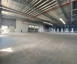 Nhà xưởng hiện đại, thu hút DN FDI. thành lập DN EPE, với hệ sinh thái NX rộng lớn