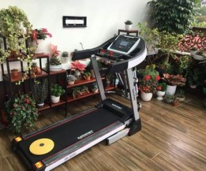 Thu mua máy chạy bộ, xe đạp tập thể dục , ghế tập tạ 