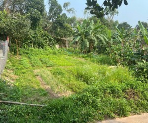 CHÍNH CHỦ CẦN BÁN ĐẤT HÒA NHƠN - HÒA VANG- ĐÀ NẴNG