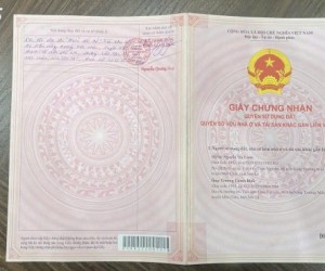 BÁN LÔ ĐẤT ĐƯỜNG Ô TÔ 8M NGAY TRUNG TÂM THỊ TRẤN NÔNG TRƯỜNG MỘC CHÂU, VIEW ĐỒI CHÈ