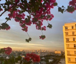 BÁN CĂN HỘ CHUNG CƯ FUJI – PHƯỚC LONG B, THỦ ĐỨC – FULL NỘI THẤT, VIEW 2 MẶT THOÁNG