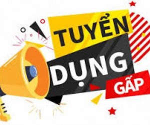 TUYỂN DỤNG NHÂN VIÊN PHỤC VỤ NHÀ HÀNG TẠI QUẬN 7, HCM