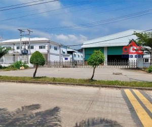 XT267 nhà xưởng thiết kế khung thép tiền chế, an toàn SX lâu dài phục vụ đa ngành nghề
