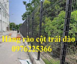Hàng rào lưới thép hàn D4, D5, D6