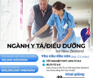 Du Học Ngành Y Tá/Điều Dưỡng Tại New Zealand – Cơ Hội Định Cư Với Học Phí Chỉ Từ 600 Triệu Vnđ/Năm