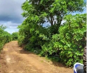 BÁN 2009M2 ĐẤT TỔ 32 THỊ TRẤN LIÊN NGHĨA ĐỨC TRỌNG LÂM ĐỒNG