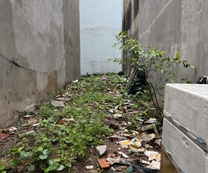Bán đất hồng mai thông chùa quỳnh 84M ô tô kinh doanh hai bà trưng