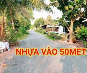40 triệu Sang tên 170m2 thổ gần DT823, mõi tháng trả dần 3 triệu.
