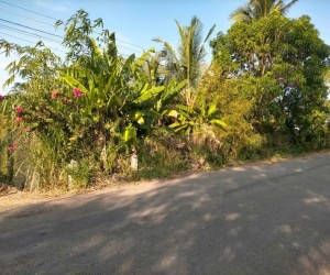CHÍNH CHỦ CẦN BÁN LÔ ĐẤT CÓ VỊ TRÍ ĐẸP TẠI PHƯỜNG  KHÁNH HẬU - TP. TÂN AN - LONG AN.