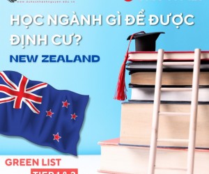 Học Ngành Gì Để Được Định Cư New Zealand?