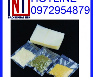 Chuyên cung cấp túi PA, công ty cung cấp túi PA