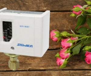 Đồng hồ nhiệt độ Daewon tại Dantek – Sự lựa chọn tin cậy cho công trình của bạn