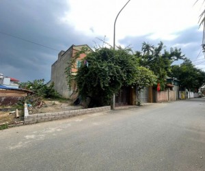 Lô đất đẹp 162m Triều Đông Cổ Đông đường thông thênh thang giá đầu tư giá đầu tư 16.2tr/m