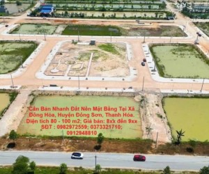 ĐẤT ĐẸP - GIÁ TỐT Cần Bán Nhanh Đất Nền Mặt Bằng Tại Xã Đông Hòa, Huyện Đông Sơn, Thanh Hóa.