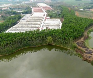 Tài chính chỉ từ 3xx quý khách có thể sở hữu 1 ô đất diện tích trên 200m2