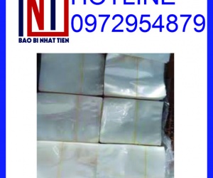 Chuyên cung cấp túi PA đựng thực phẩm, cung cấp túi PA giá rẻ