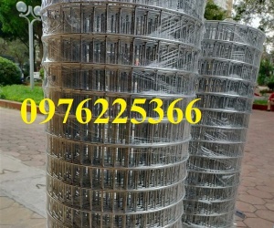 Lưới thép mạ kẽm D3A50x50, D3A 100x100