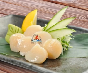 Cồi sò điệp nhật