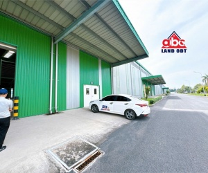 XT429 Cho Thuê nhà xưởng kiên cố, phục vụ linh hoạt nhiều ngành nghề, trống xưởng