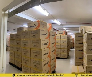 Mua giày bảo hộ lao động tại Đồng Nai ở đâu giá tốt?