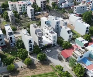 Bán Lô Đất Xây Biệt Thự Nhà Vườn – Đường TĐC Điểm 3, Đằng Hải – Hải Phòng