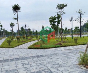 ✅ Bán đất đấu giá X1 Nguyên Khê - 80m - View công viên - Đường rộng 20m