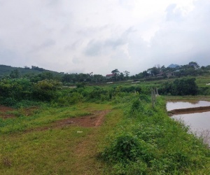 CHÍNH CHỦ CẦN BÁN  2,5 ha ĐẤT BÁM SUỐI VIEW SIÊU ĐEP TẠI LƯƠNG SƠN – PHÚ THỌ