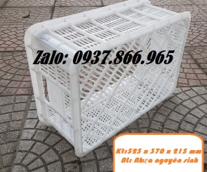 Sọt nhựa dùng trong cont lạnh
