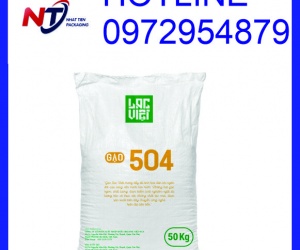 Bao PP trắng không in đựng gạo 50kg