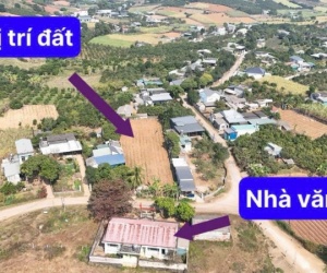 SỞ HỮU NGAY LÔ ĐẤT ĐẸP - GIÁ TỐT - Vị Trí Đắc Địa Tại Cao Phong, Hoà Bình