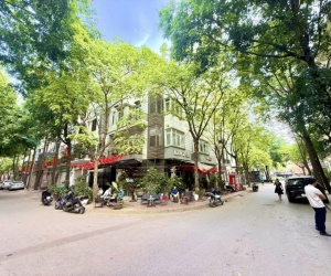 MBKD Đỉnh Biệt thự Lô góc 2 mặt tiền Xa La 110m2 x 4 tầng hàng ăn, cà phê, spa, trung tâm...