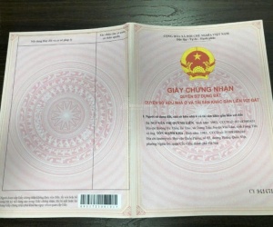 Kỹ thuật hỗ trợ 24/7, cập nhật phần mềm hoàn toàn miễn phí ĐĂNG TIN BẤT ĐỘNG SẢN TRÊN CÁC WEBSITE!