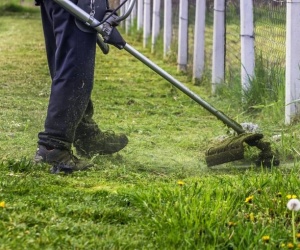 Bảo Dưỡng Cảnh Quan Chuyên Nghiệp tại Đồng Nai