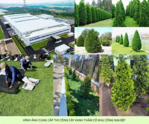 Thiết kế thi công thảm cỏ cây xanh KCN Bình Dương – Miễn Phí Thiết kế 