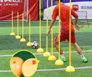 Nấm nhựa chiến thuật , nấm chơi team building 