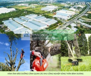 Bảo dưỡng Cảnh Quan Cây Xanh & Vệ Sinh Công Nghiệp tại KCN Sóng Thần, Bình Dương