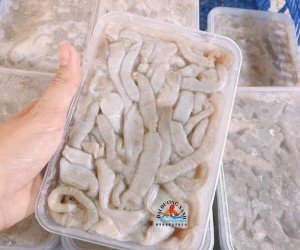 Sá sùng: Đặc sản đắt giá của biển Việt và lý do khiến ai cũng săn lùng