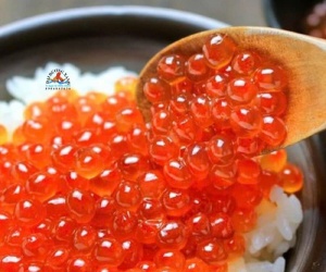 Trứng cá hồi – siêu thực phẩm giàu Omega-3 cho mọi gia đình