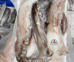 Râu bạch tuộc – nguyên liệu thơm giòn được yêu thích trong ẩm thực Việt