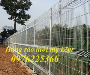 Hàng rào lưới mạ kẽm chắn sóng D5A50x200