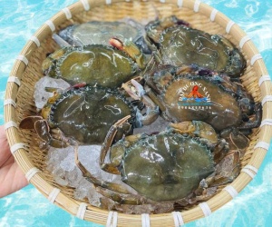 Cua Lột Làm Món Gì Ngon? Gợi Ý 5 Món Dễ Làm Tại Nhà