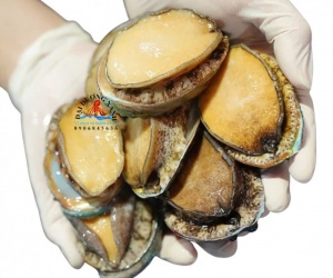 Gợi Ý Món Ngon Với Bào Ngư Cho Mâm Tiệc Sang Trọng