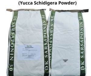 Yucca bột Mỹ - DK SARSAPONIN 30 (Yucca Schidigera Powder) Hấp thu khí độc